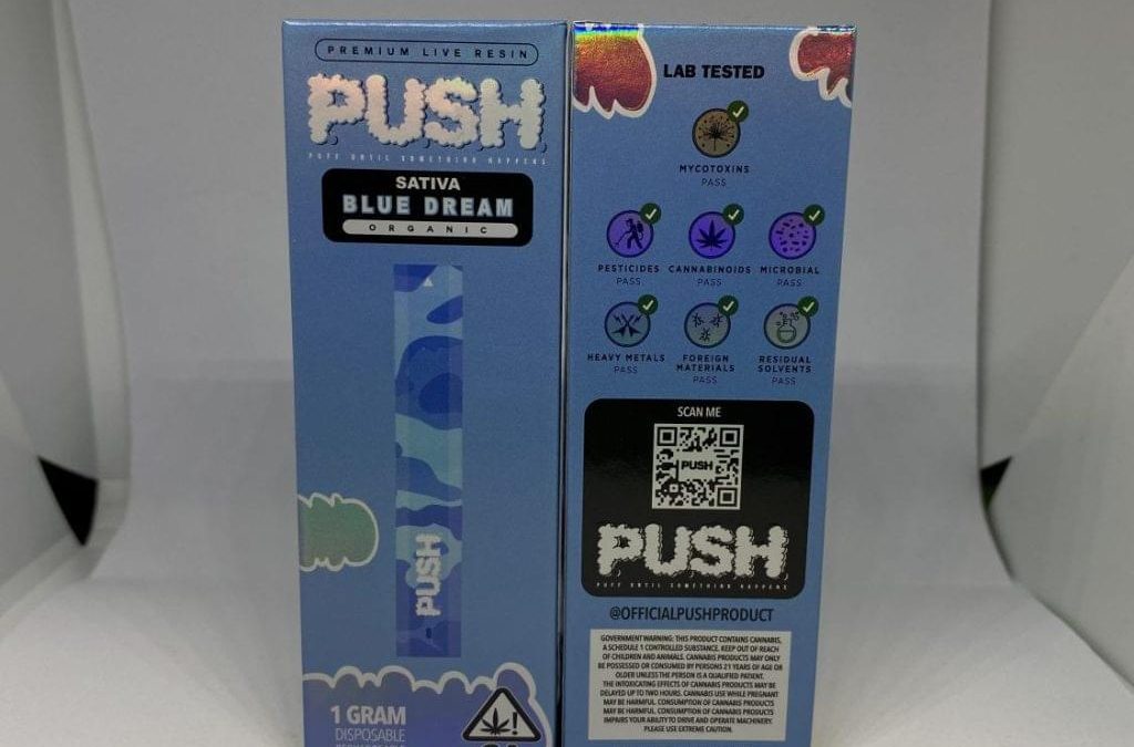 Questions Fryd Disposable Users Ask (2026)